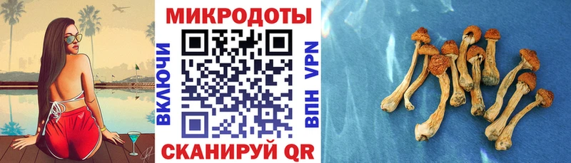 Купить  Лянтор  Галлюциногенные грибы прущие грибы 